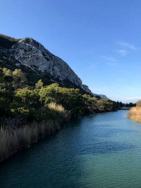 Nehir ağaçların arasından akıyor ve bulutlu bir gökyüzüne karşı kocaman bir kaya.