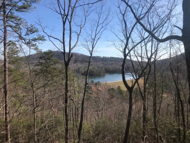 Dawsonville 'de güneşli bir günde ormandaki çıplak ağaç dalları arasında küçük bir göl.