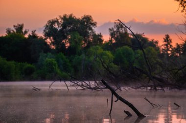 Göldeki çıplak dalların manzarası yeşil ağaçları ve pembe bir günbatımını yansıtıyor.