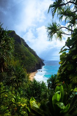 Sakin mavi bir denizin dikey görüntüsü. Tepedeki yeşil bir ormandan kumlu bir sahil.