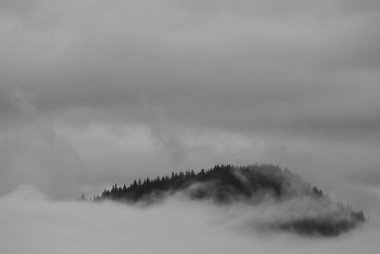 Sabahın erken saatlerinde sisli manzaranın güzel bir manzarası