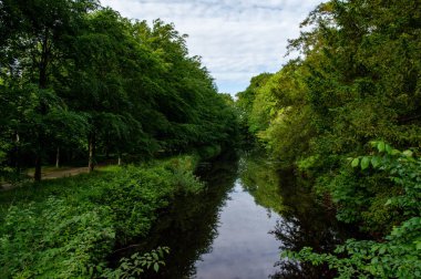 Kırsal alanda akan güzel bir nehir.
