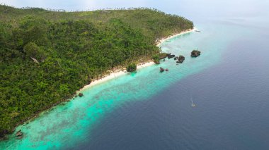 Filipinler 'de turkuaz okyanus suyu ve mercan resifleri olan güzel bir tropikal plajın hava manzarası.