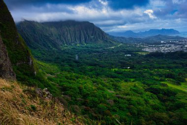 Kualoa, Hawaii 'deki güzel dağlarla çevrili yeşil ağaçlarla çevrili bir tarlanın manzarası.