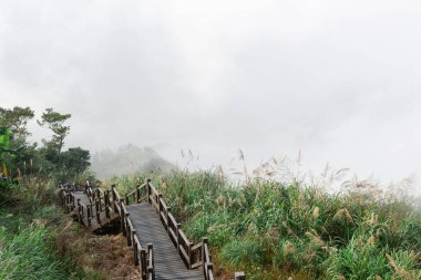 Tayvan 'daki Alishan Dağı patikasının yüksek açılı görüntüsü.