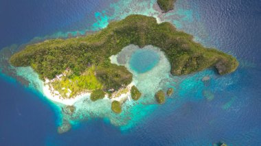 Güneşli bir günde güzel bir tropikal adanın ve Filipinler 'de bir lagünün hava aracı görüntüsü.