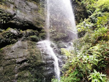 İspanya 'nın Kanarya Adaları' ndaki La Palma adasındaki Los Tilos Şelalesi.