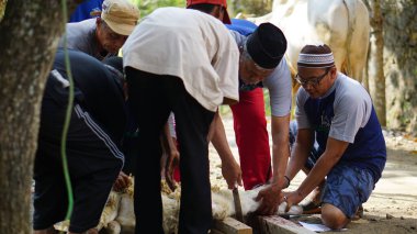 İnsanlar, Endonezya Yogyakarta 'da Kurban Bayramı' nda fakirlere et dağıtmak için birbirlerine yardım ediyorlar.