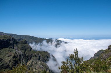 Portekiz, Madeira 'da bulutlarla çevrili güzel bir dağ ve ağaç manzarası.