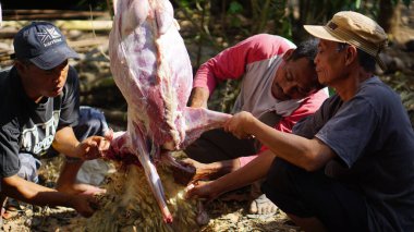 Kurban Bayramı 'nda fakirlere et dağıtmak için birbirlerine yardım eden üç adamın yakın çekimi.