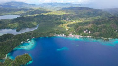 Orman ve palmiye ağaçlarıyla kıyı şeridi, lagün ve mercan resifi turkuaz su, mevsim burnu, tropikal ada ile kaplı yeşil orman, Filipinler
