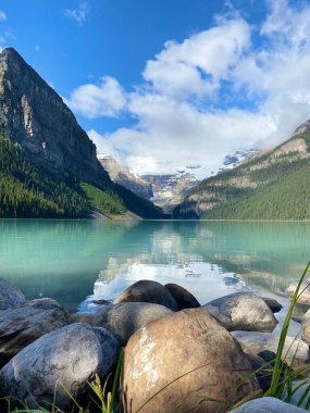 A cute Siberian Tit on a tree branch