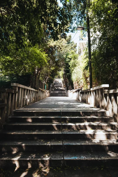 Tiro Vertical Escadas Cercadas Por Árvores Verdes Parque Suma Marjan — Fotografia de Stock