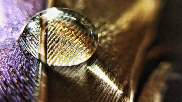 Een Macro Shot Van Een Transparante Waterdruppel Het Zonlicht — Stockfoto