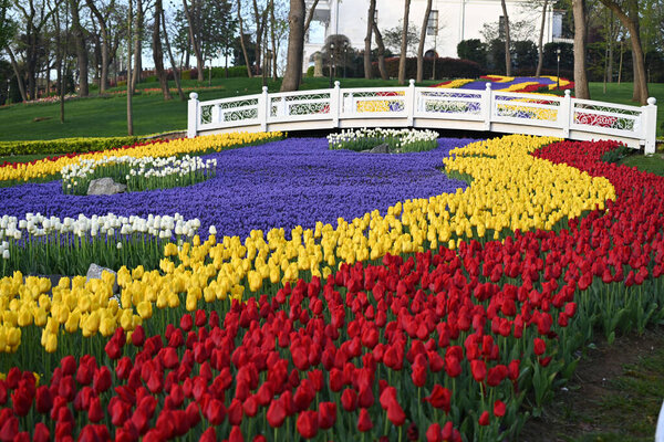 Вид на красивый цветущий сад тюльпанов в Фарган-парке, Стамбул, Турция