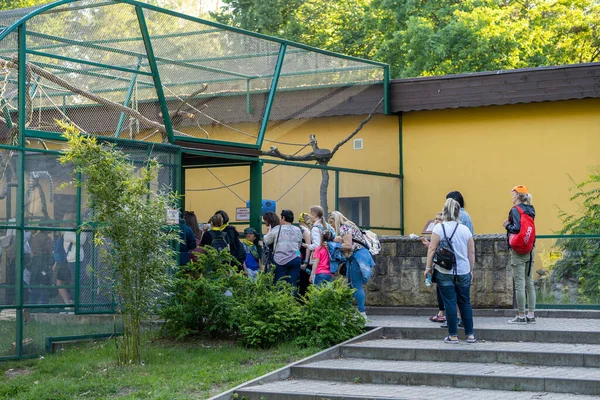 Gente Mirando Animales Detrás Una Jaula Rejilla Zoológico — Foto de Stock