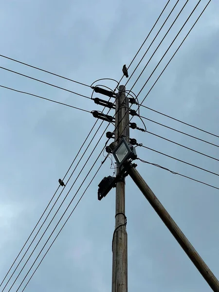 Eine Vertikale Aufnahme Eines Strommasten Mit Drähten Und Hockenden Vögeln — Stockfoto