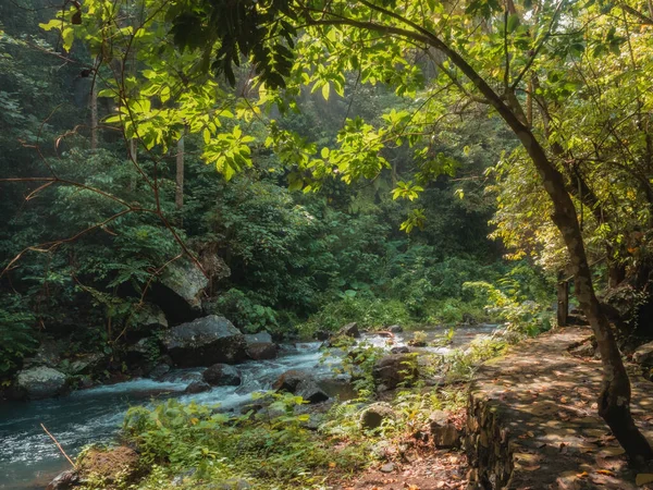 Eine Schöne Aufnahme Eines Flusses Der Nähe Des Aling Aling — Stockfoto