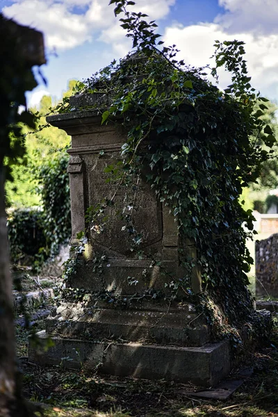Finchingfieldでの過成長墓の垂直ショット — ストック写真