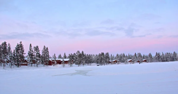 Fascinante Disparo Bosque Cubierto Nieve Durante Día Invierno Laponia —  Fotos de Stock