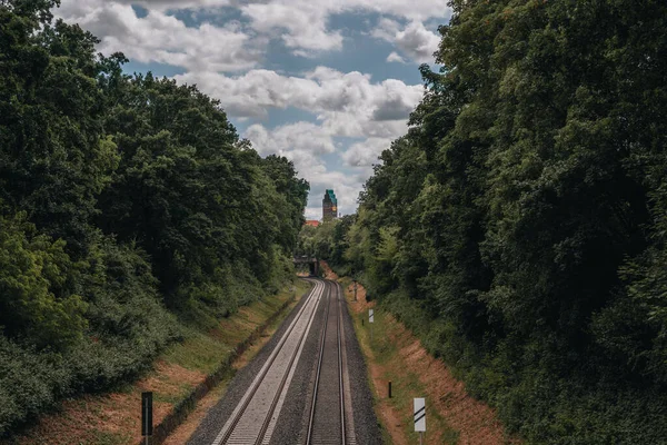 Eine Schöne Aufnahme Einer Eisenbahn Die Von Wald Umgeben Ist — Stockfoto