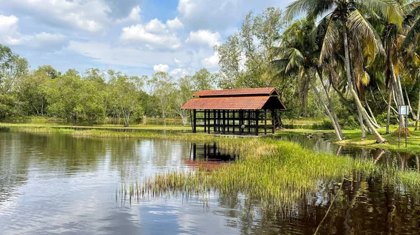 Pohled Zelený Park Jezero Pavilonem Břehu Malajsie — Stock fotografie