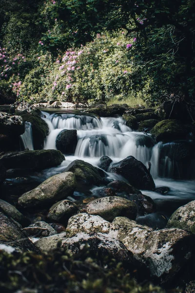 一个美丽瀑布的垂直镜头 周围环绕着绿色的植被 长期暴露 Dartmoor — 图库照片
