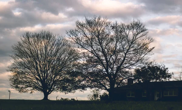 曇り空を背景に裸の木や家のシルエットの風景 — ストック写真