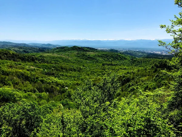 Les Arbres Verts Denses Entourés Par Les Montagnes Par Une — Photo