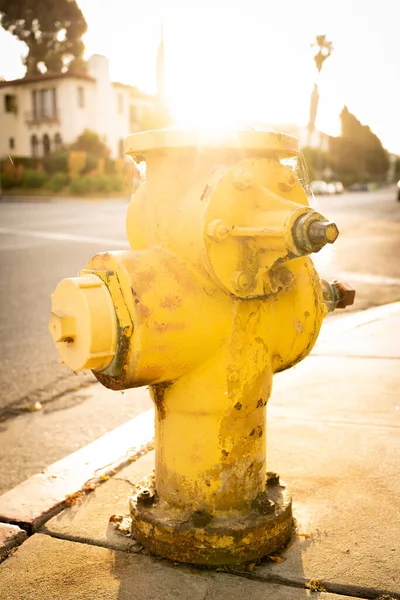 Yellow Fire Hydrant Los Angeles Basking Sun — Stock Photo, Image