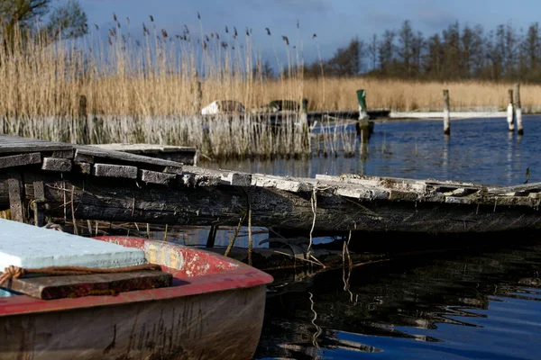 Ein Alter Holzsteg Einem Kleinen See Mit Vielen Schilfpflanzen Vordergrund — Stockfoto