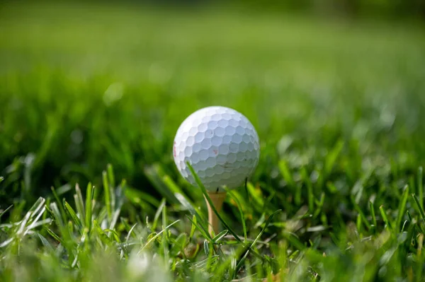 Selective Focus Shot Golf Ball Green Grass Field — Stock Photo, Image
