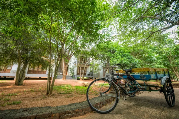 Een Transnationale Fiets Een Hotelpark — Stockfoto