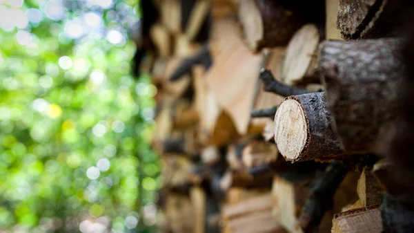 Selective Shot Cut Wooden Pieces Piled Green Trees Sunny Day — Stock Photo, Image