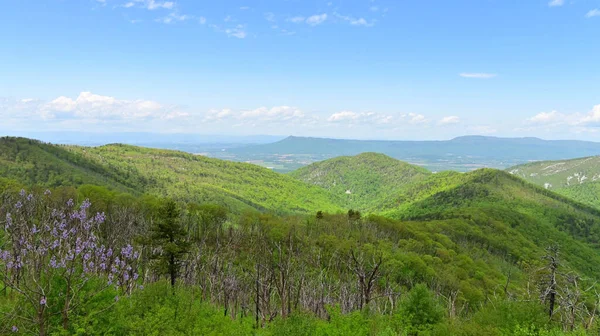 Piękny Letni Krajobraz Zielonymi Wzgórzami Tle Błękitnego Nieba — Zdjęcie stockowe