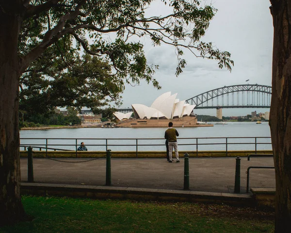 澳大利亚美丽的悉尼歌剧院从公园拍摄的风景 — 图库照片