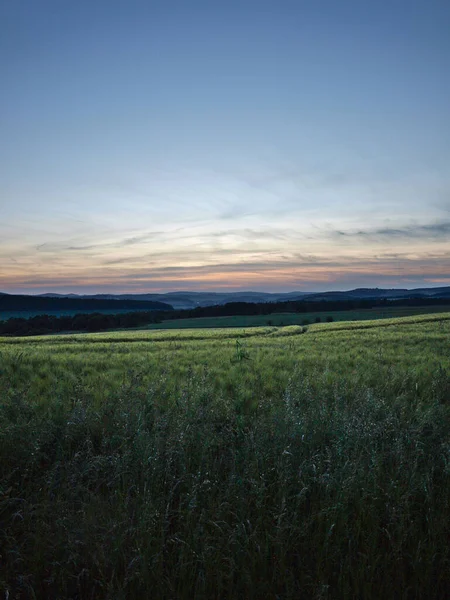 Een Verticaal Shot Van Een Groen Veld Tijdens Een Zonsondergang — Stockfoto