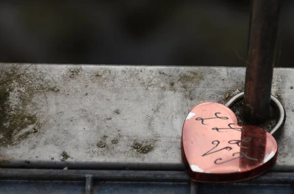 橋の上にピンクの愛南京錠の高角度ショット — ストック写真