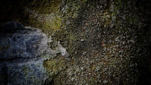 Zbliżenie Ujęcia Grunge Teksturowanej Ciemnej Ściany Meczetu — Zdjęcie stockowe