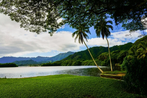 Beautiful Shot Lake Surrounded Tropical Nature — Stock Photo, Image