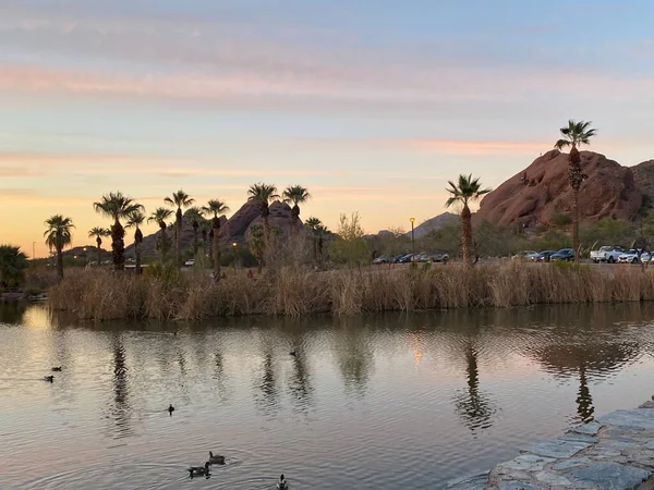 A parking lot near the palm trees on the side of a lake on the sunset