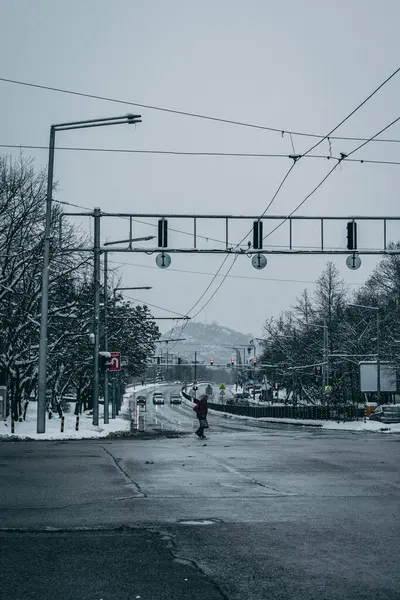 Trafik Işıklarının Altında Karlı Ağaçlarla Gri Gökyüzüyle Islak Bir Caddeyi — Stok fotoğraf