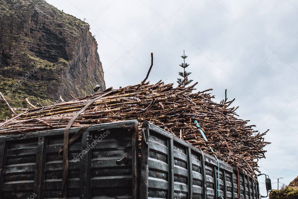 A stack of sugarcanes loaded into a truck