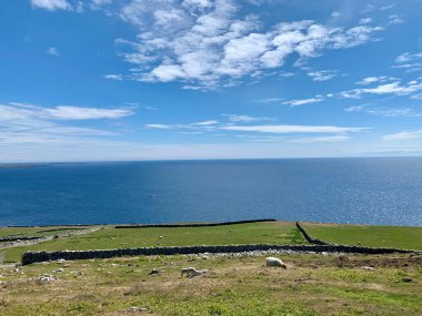 Gündüz vakti bir gölün sahil şeridinin güzel bir görüntüsü..