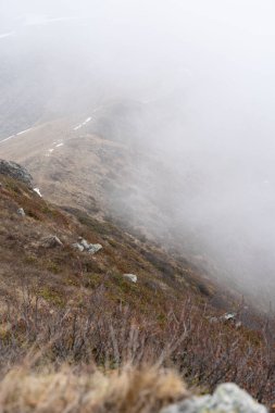 Beyaz yoğun sisle kaplı bir tepenin güzel manzarası.