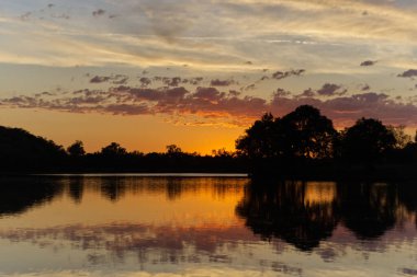 Ağaçların siluetleri gölün sularına yansıyor altın bir günbatımında