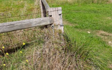 Tarladaki eski çitleri kapatın.