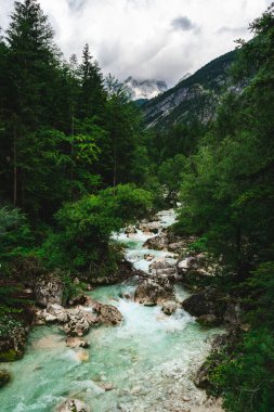 Yeşil bitki örtüsüyle çevrili Soca nehrinin dikey görüntüsü. Slovenya.