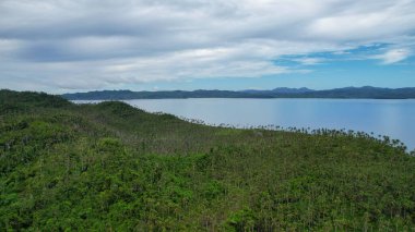 Arkasında mavi bir okyanus olan yeşil bir manzara, Filipinler kıyısı.