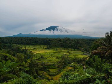 Bulutlu bir günde Batur Dağı ve pirinç tarlalarının manzarası, Bali, Endonezya
